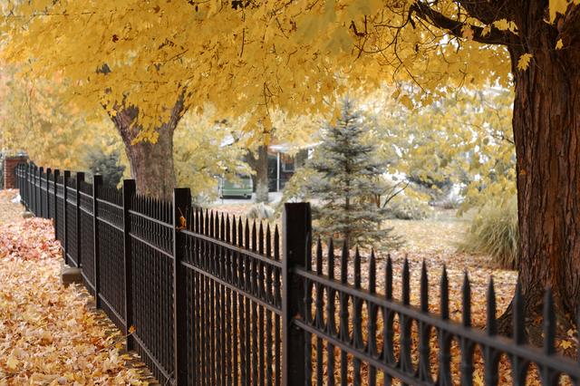 Black steel fence along a garden path with autumn trees