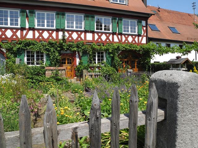 Timber picket fence in front of a garden and house